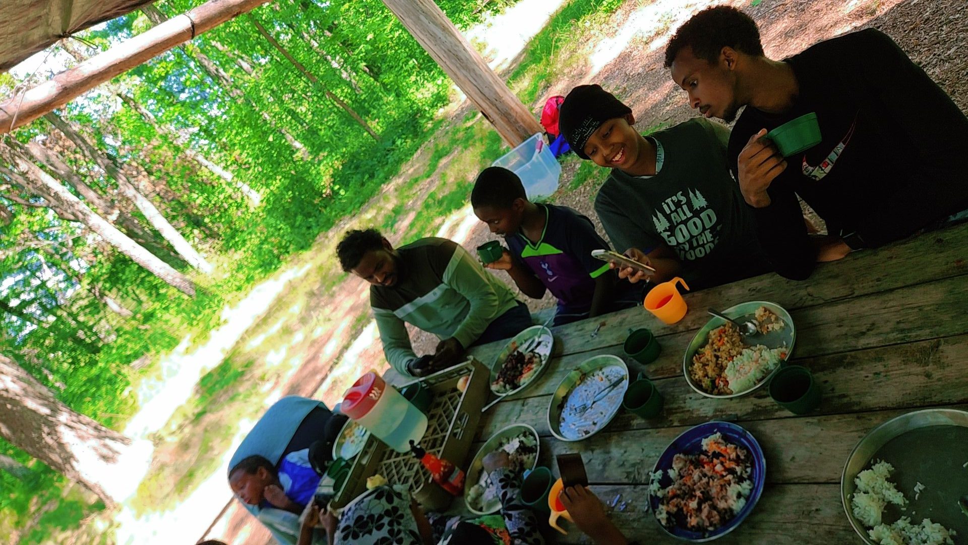 Community Picnic & Meal — MYSI Minnesota