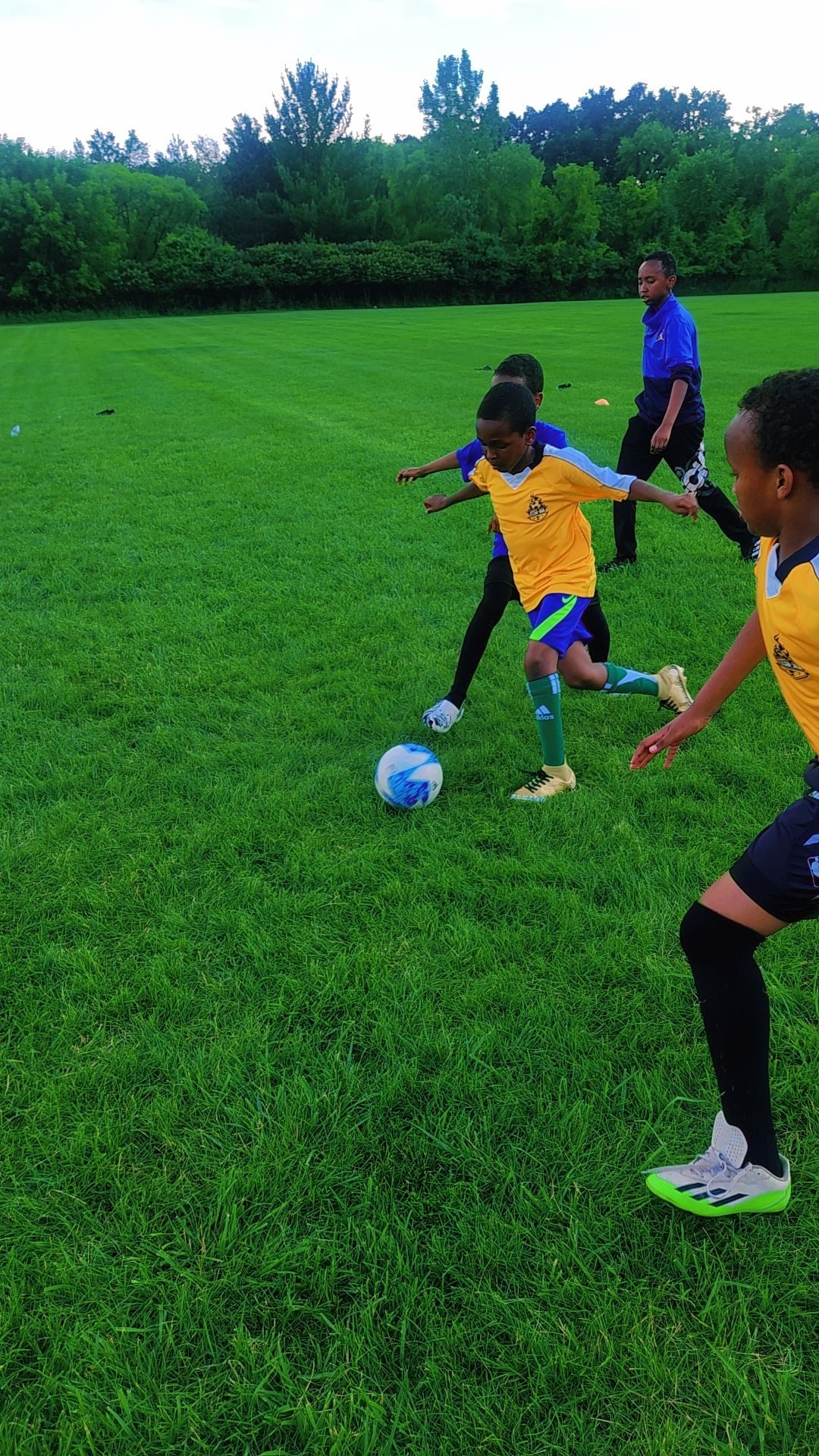 MYSI youth soccer training Minnesota
